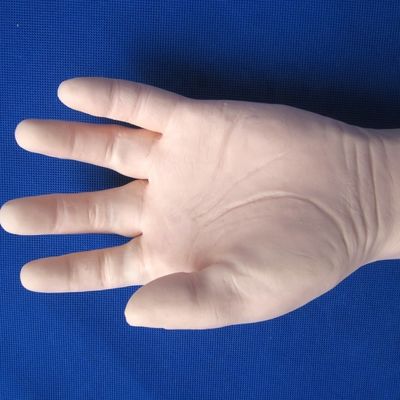 Uitgebreide venenecturetraining Arm Human Life Size Model voor IV- en IM-injecties