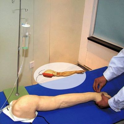 Uitgebreide venenecturetraining Arm Human Life Size Model voor IV- en IM-injecties