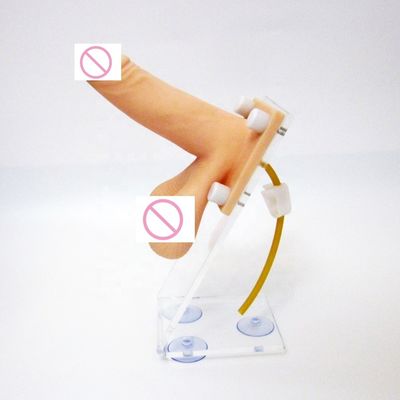 Penis simulatie en anticonceptie begeleiding onderwijsmodel voor medische wetenschappen klassen