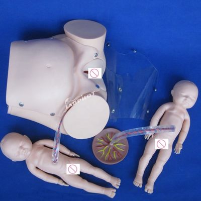 Mensengrootte Zwangere pop Baby Labor Delivery Simulator voor Medische Wetenschap Model