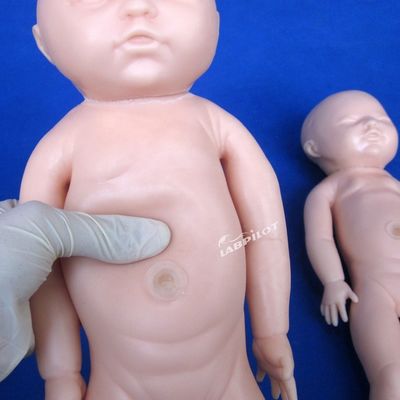 Mensengrootte Zwangere pop Baby Labor Delivery Simulator voor Medische Wetenschap Model