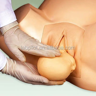Geavanceerde PVC-mannequin zwangerschapsgeboorte simulator voor vacuüm-extractie training