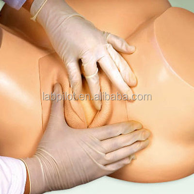 Geavanceerde PVC-mannequin zwangerschapsgeboorte simulator voor vacuüm-extractie training