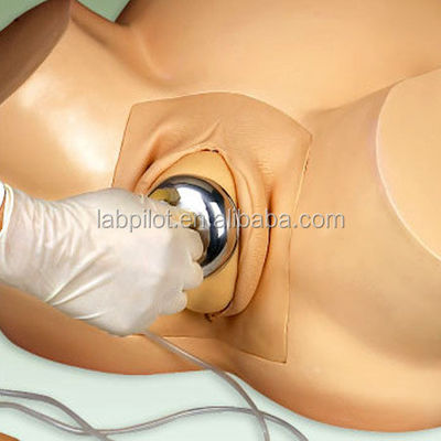 Geavanceerde PVC-mannequin zwangerschapsgeboorte simulator voor vacuüm-extractie training