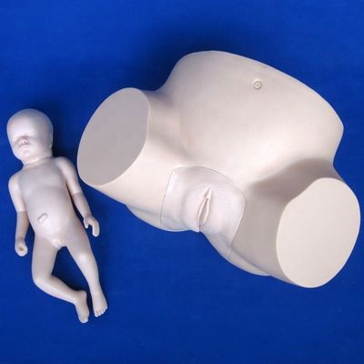 Geavanceerde PVC-mannequin zwangerschapsgeboorte simulator voor vacuüm-extractie training