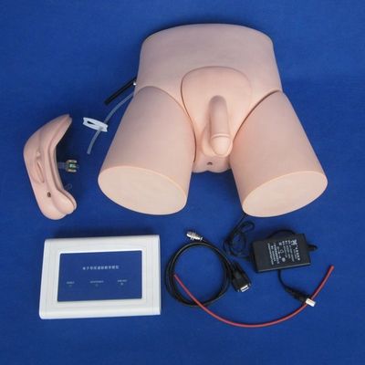 Elektronisch urethraal katheterisatie-trainingsmodel voor mannelijke en vrouwelijke menselijke levensgrootte