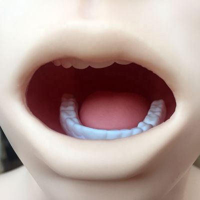 Transparante gastric lavage model neusvoederbuis simulator voor verpleegkundige opleiding