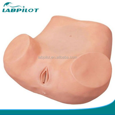 Vrouwengezondheidsonderwijs GYN Examen Opleidingssimulator met geavanceerd PVC materiaal
