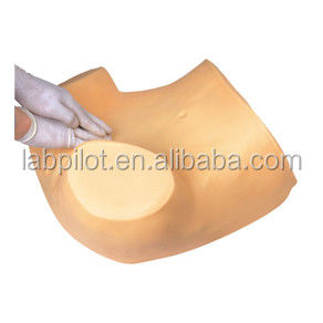Vrouwengezondheidsonderwijs GYN Examen Opleidingssimulator met geavanceerd PVC materiaal