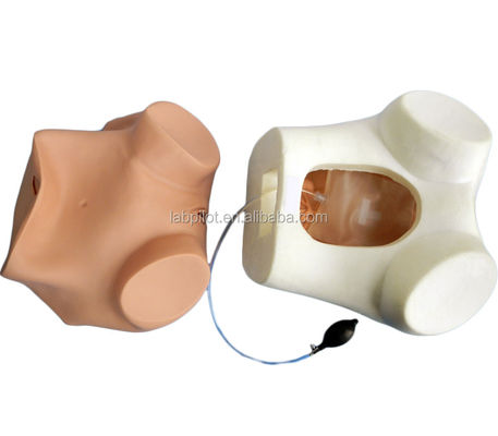 Vrouwengezondheidsonderwijs GYN Examen Opleidingssimulator met geavanceerd PVC materiaal