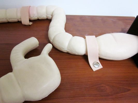 Mannequin voor Sigmoidoscoop Onderzoek Training Geavanceerde Darm Model Simulator