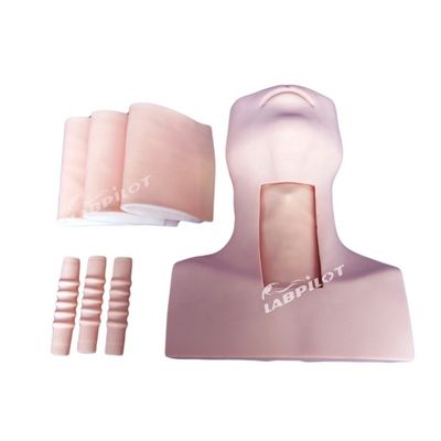 Medische wetenschappen Tracheostomie Verpleegkundige opleiding Mannequin Optimaal voor het onderwijs
