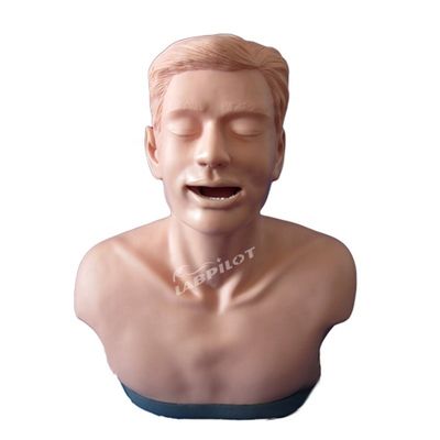 Schildklieronderzoek Opleidingsmodel voor anatomisch onderwijs en functiedemonstratie