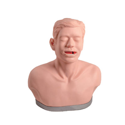 Schildklieronderzoek Opleidingsmodel voor anatomisch onderwijs en functiedemonstratie