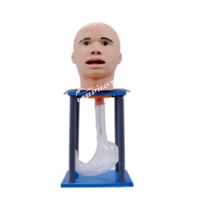 Volwassen maagspeling Mannequin Invoeging van neusvoederbuizen Verpleegpop