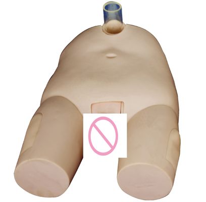 PVC Man/Vrouw Blaas Irrigatie Opleidingsmodel Katheterisatievaardigheden en Punctie Operatie Simulator
