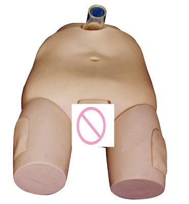 PVC Man/Vrouw Blaas Irrigatie Opleidingsmodel Katheterisatievaardigheden en Punctie Operatie Simulator