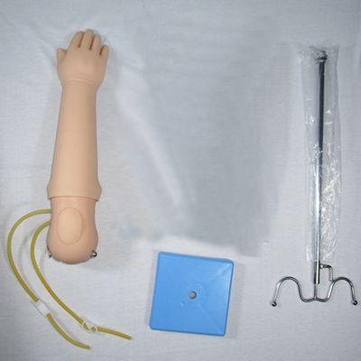 Mensengrootte Mannequin Draagbaar Baby Venipuncture Training Arm Model IV Arm Injectie Onderwijs Hand Phantom