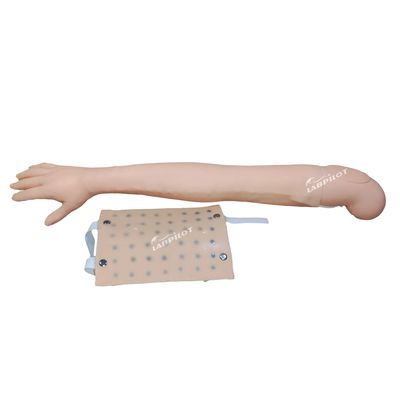 Volle arm simulator Clinical Teaching voor intradermale injectie en venennecture praktijk