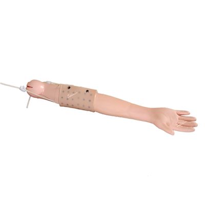 Volle arm simulator Clinical Teaching voor intradermale injectie en venennecture praktijk