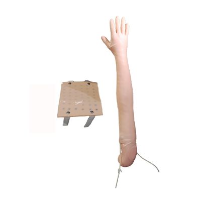 Volle arm simulator Clinical Teaching voor intradermale injectie en venennecture praktijk