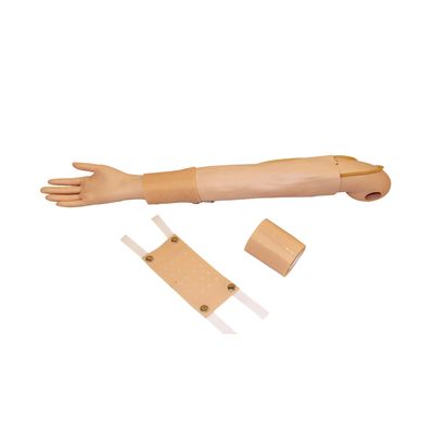 Volle arm simulator Clinical Teaching voor intradermale injectie en venennecture praktijk
