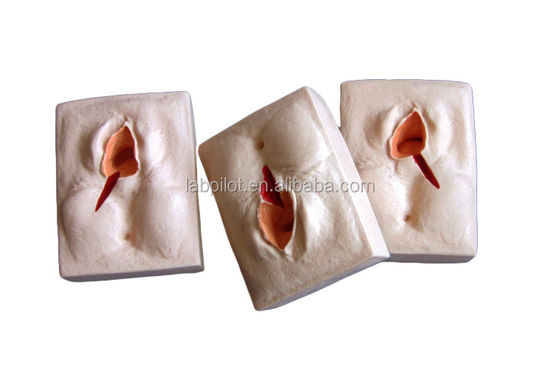 Gynaecologische vaardigheden Onderwijs 3-set Perineum Suring Simulator en Episiotomy Wond Suring Model