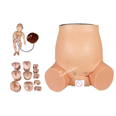 Verloskunde-Gynecologie Model Zwangere Vrouw Care Simulator voor Verloskunde Training