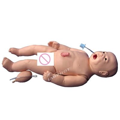 Nieuwgeboren Baby Navelverzorging Venipunctuur Intubatie en CPR-training met Manikin