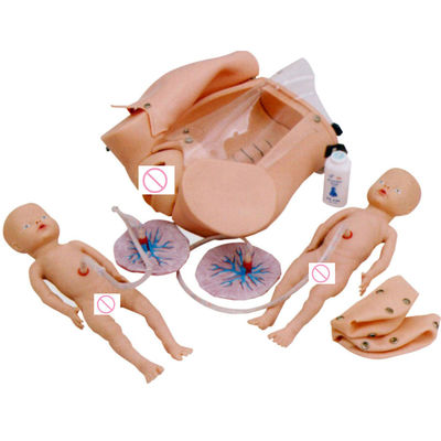 Zwangere vrouw mannequin baby pop verloskunde bevalling training model met geavanceerd PVC