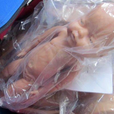 Zwangere vrouw mannequin baby pop verloskunde bevalling training model met geavanceerd PVC