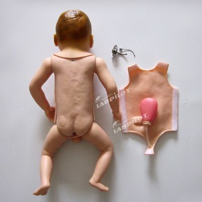 Pediatrische tracheostomie bij zuigelingen Verpleegkunde Mannequin model voor realistische simulatie