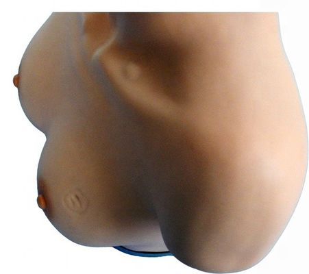 Gynaecologische vaardigheden bij het onderwijzen van een pop voor borstonderzoek en palpatie simulator