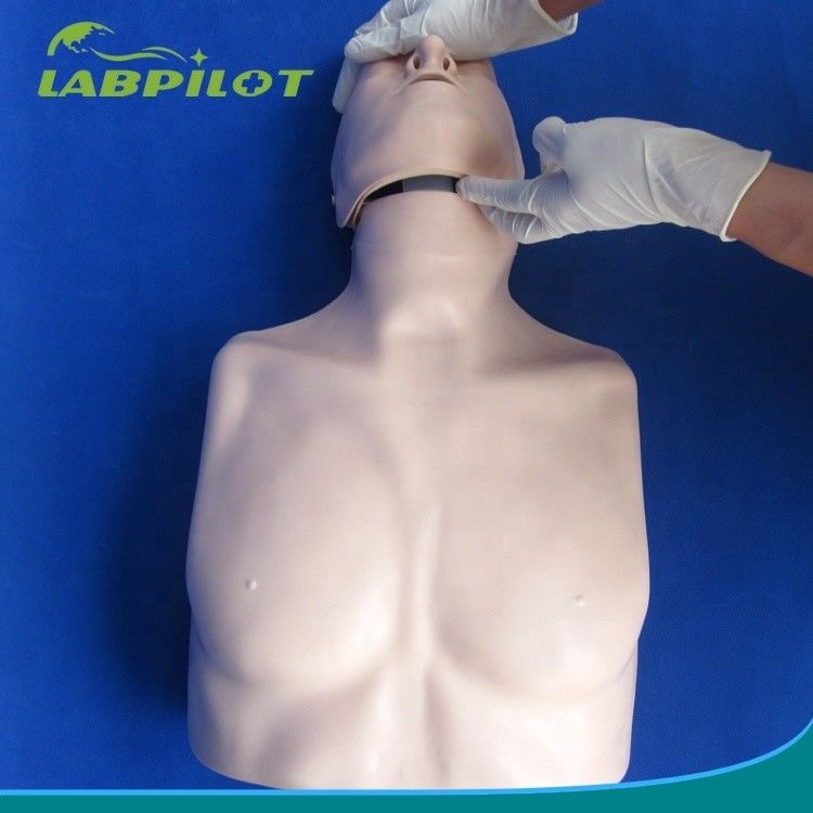 Eenvoudig Eerste Hulp Half Lichaam CPR Training Mannequin voor school Training Facility
