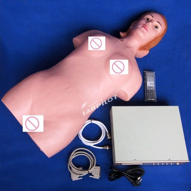 Abdominale palpatie-simulator voor verpleegkundige opleiding en realistische menselijke simulatie