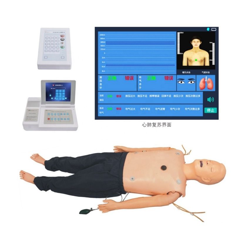 Geavanceerde levensondersteuningspop voor uitgebreide noodvaardigheden en ECG-onderwijsitem