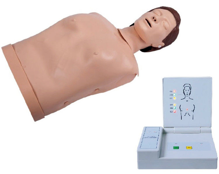 Geavanceerde PVC Gecomputereerde volwassen CPR-opleiding Mannequin Noodonderwijs Dummy voor medische wetenschappen