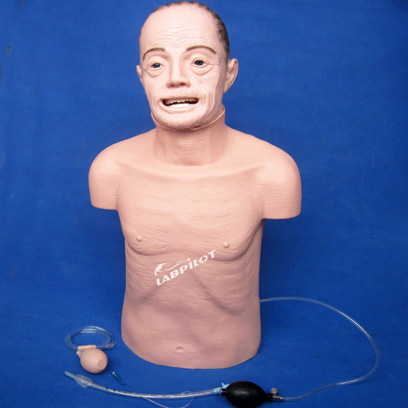 Elektronisch type CPR- en intubatieopleiding voor ouderen Mannequin voor reddende technieken