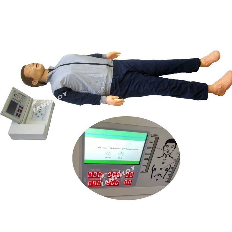 Geavanceerde CPR-pop met printer voor eerste hulp medische training Dummy pop en PVC