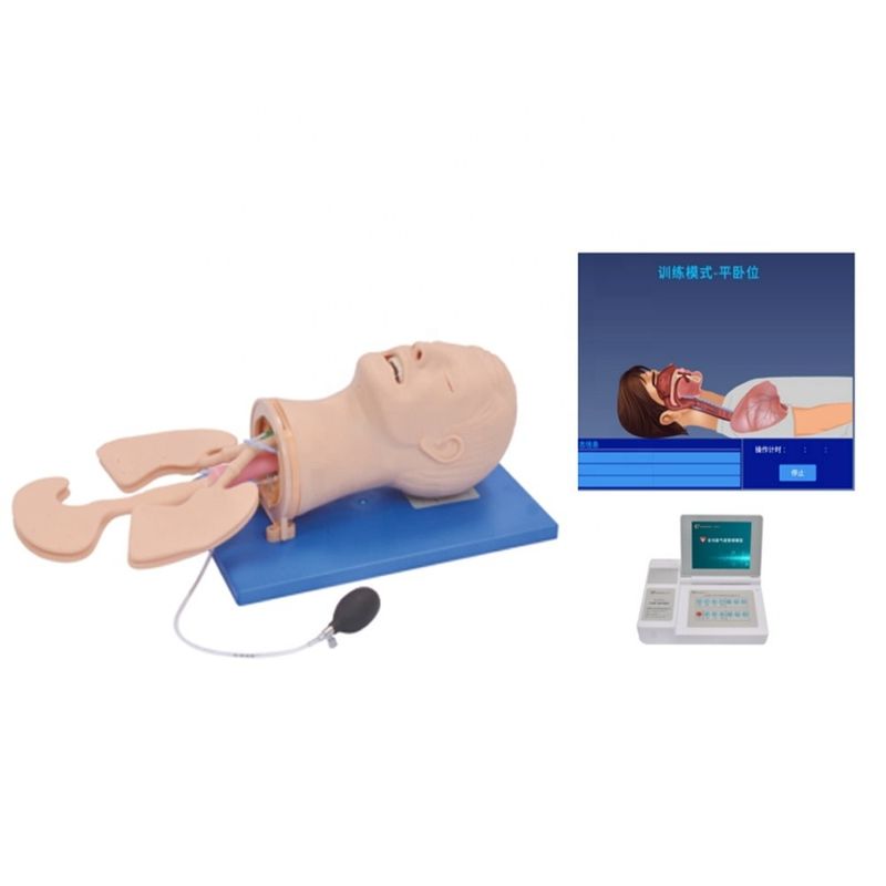 Elektronisch meerdoelig trainingsmodel voor luchtwegbeheer voor menselijke levensgroottebehoeften