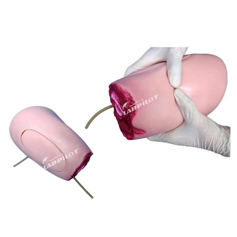Geavanceerd PVC-model De ideale oplossing voor verpleegkunde van onderlichaamschade en dijamputatie