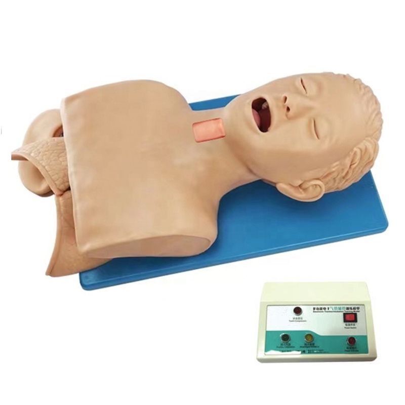 Multifunctionele menselijke simulator voor luchtwegbeheer en kruispunctie in ziekenhuizen