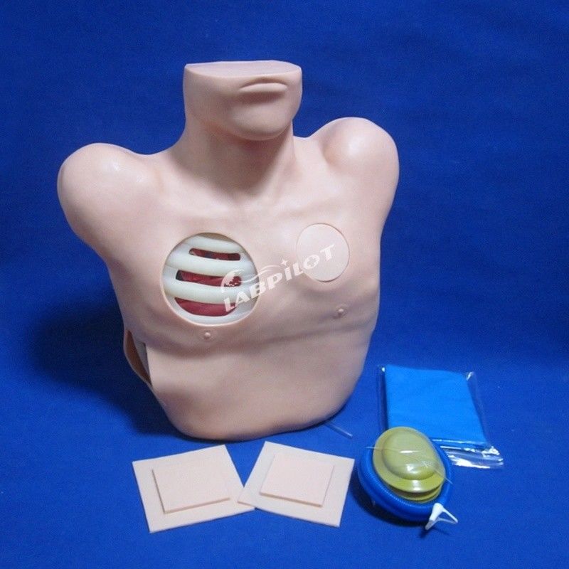 Geavanceerde PVC-pop voor verpleegkundige opleiding in pleurale punctie, drainage en thoracentesis