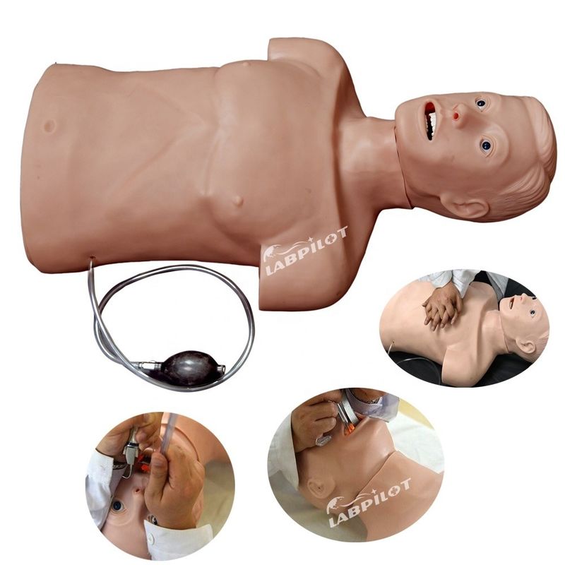 Professionele mannequin in levensgrootte voor volwassenen met halve lichaam CPR en intubatie training