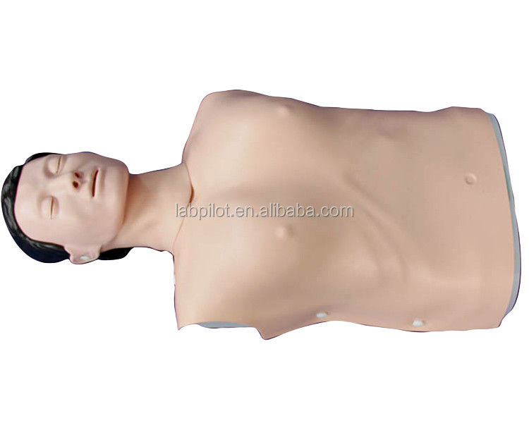 Realistische menselijke simulatie Noodvaardigheden Training Mannequin Man Half Body CPR Dummy