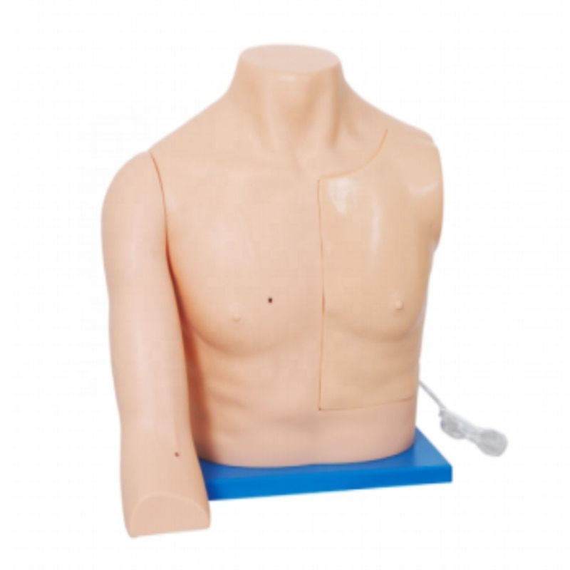 Human Life Size Venous Intervention Training Model voor medische vaardigheden Verpleegkunde Onderwijs