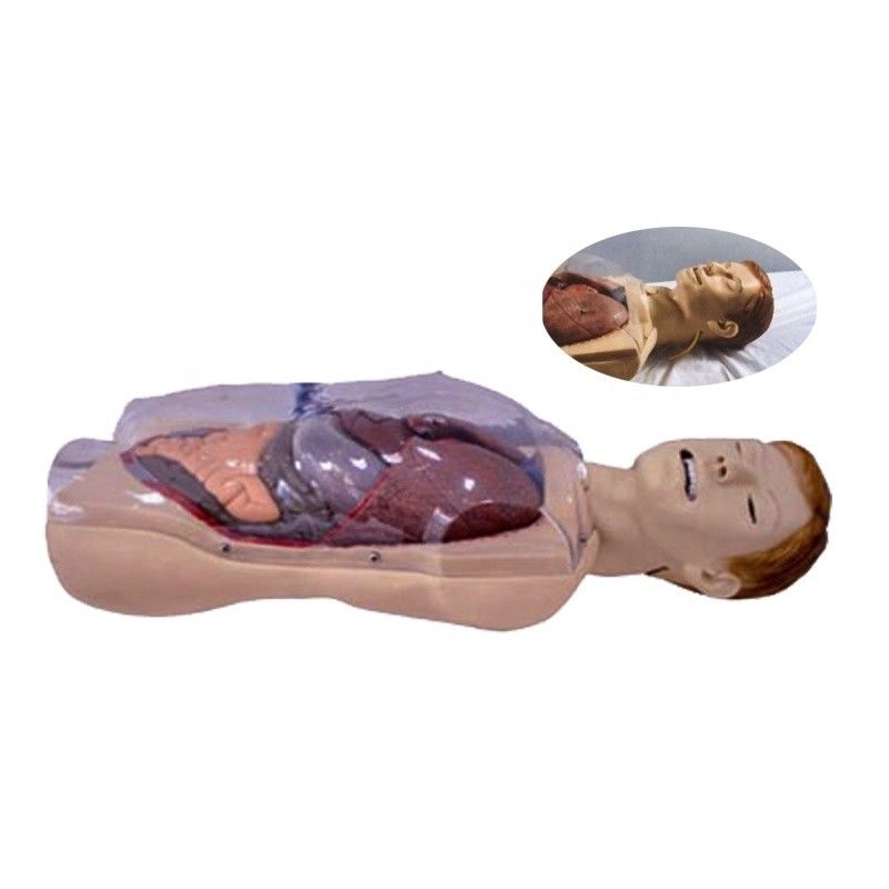 Ziekenhuis Clinic College Verpleegkundige School Mensleven Grootte Sengstaken-Blakemore NG Tube Verpleegkundige Training Simulator