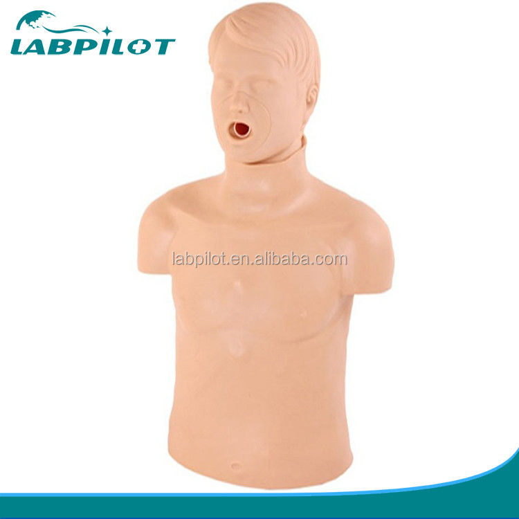 Realistische menselijke manneken voor basiskennis in noodgevallen Half-body CPR training