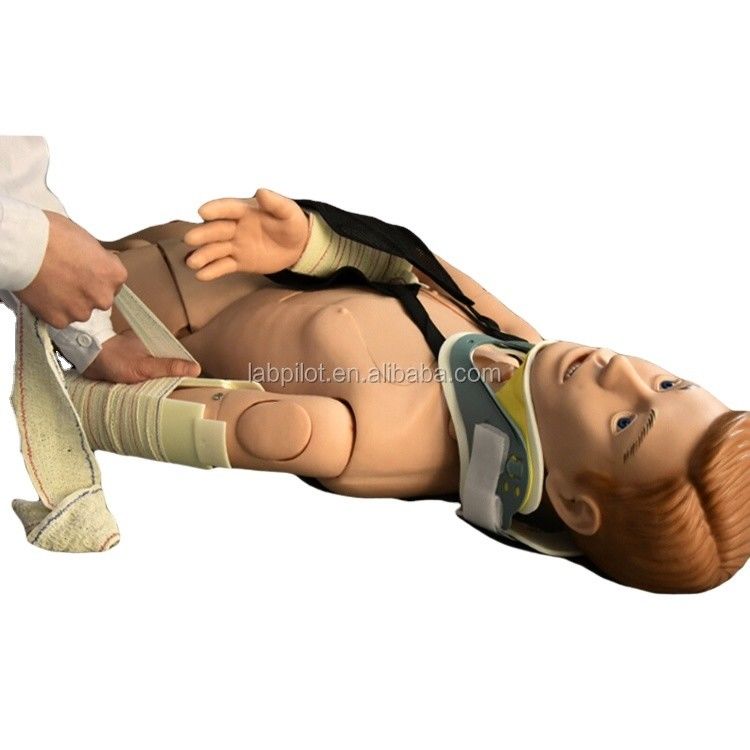 Medisch onderwijs Mannequin voor externe bevestiging Opleiding in eerste hulp bij ledematenfractuur