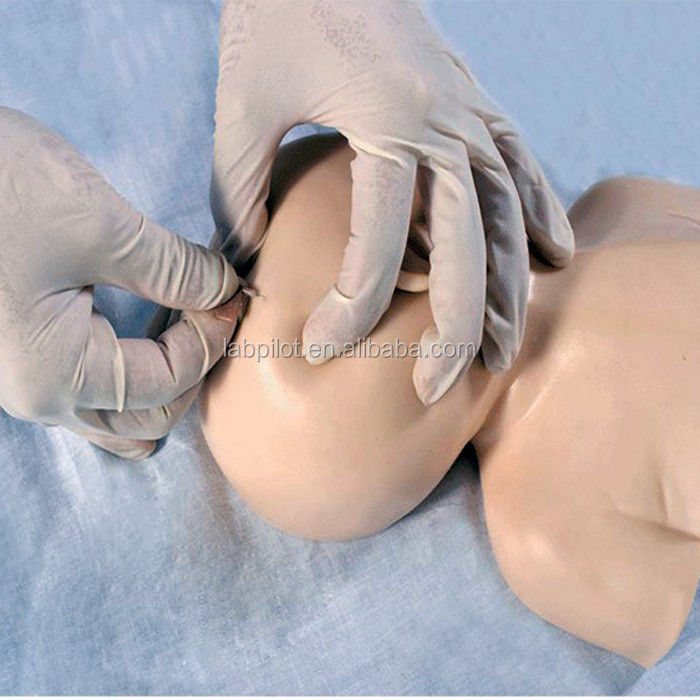 Neonatale Scalp Venipuncture Training Model Het voordeel van menselijk levensgrootte ontwerp